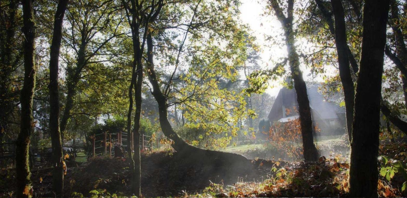 Le Bois des Elfes, à l’orée de la forêt de Brocéliande — lieu de la formation